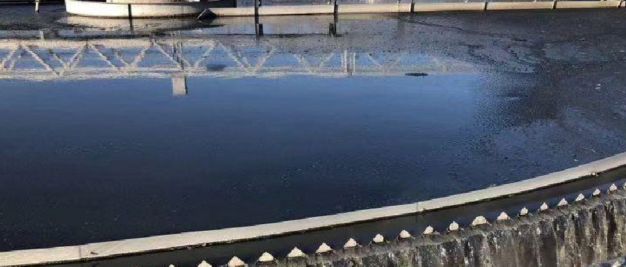 閥門展|再生水利用率高達50%！看北控水務這座污水廠玩轉資源化